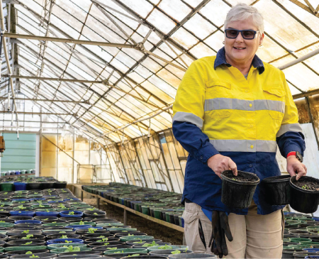 Inclusive-Employment-Australia-Horticulture Person working in a greenhouse